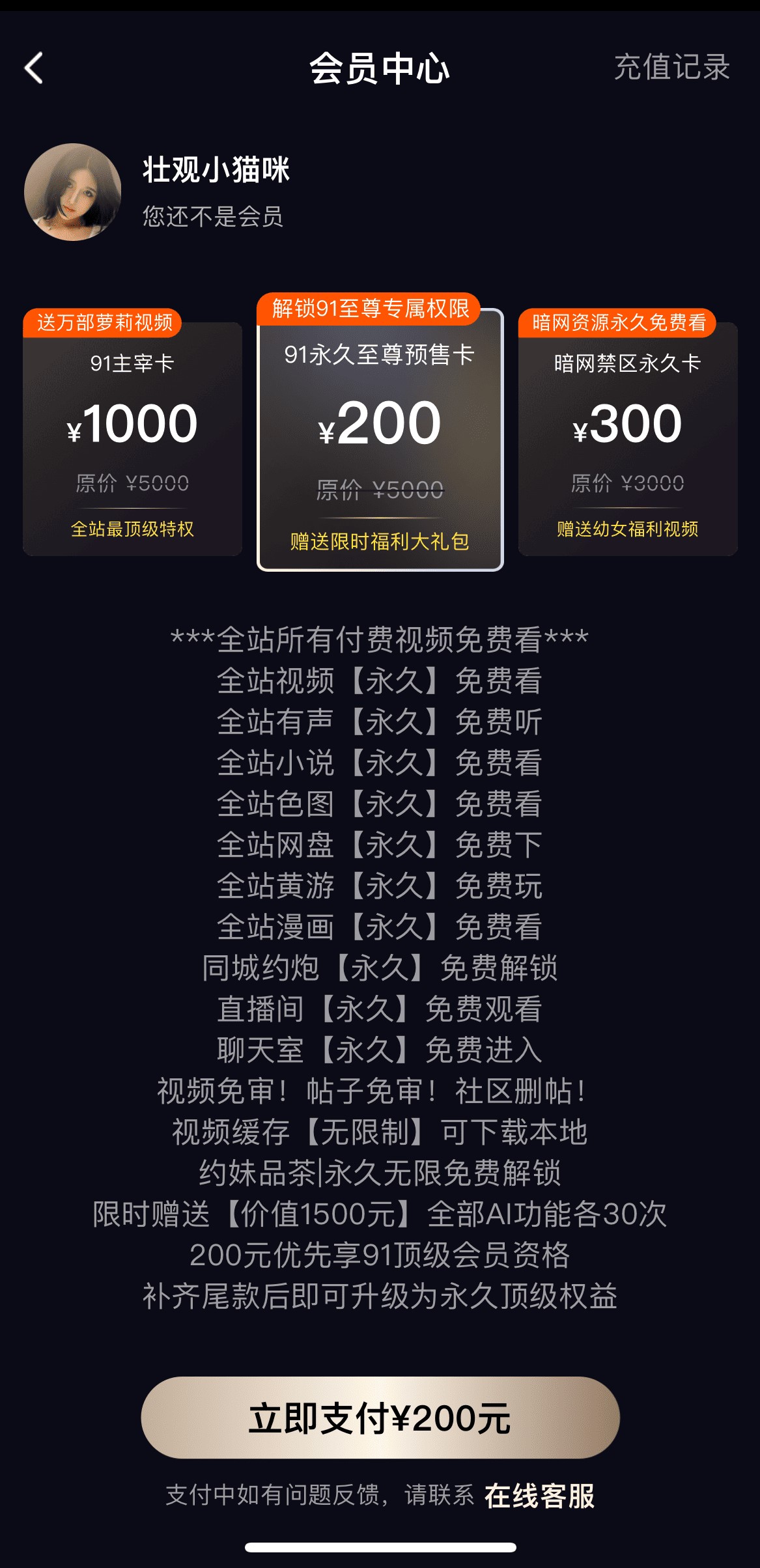 91PO官方网站VIP会员特权开通权益说明支付界面